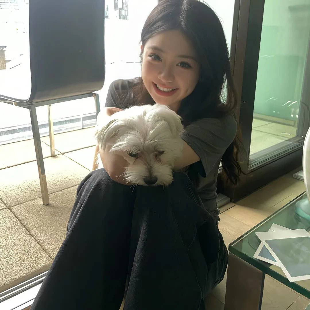 捕狼行动